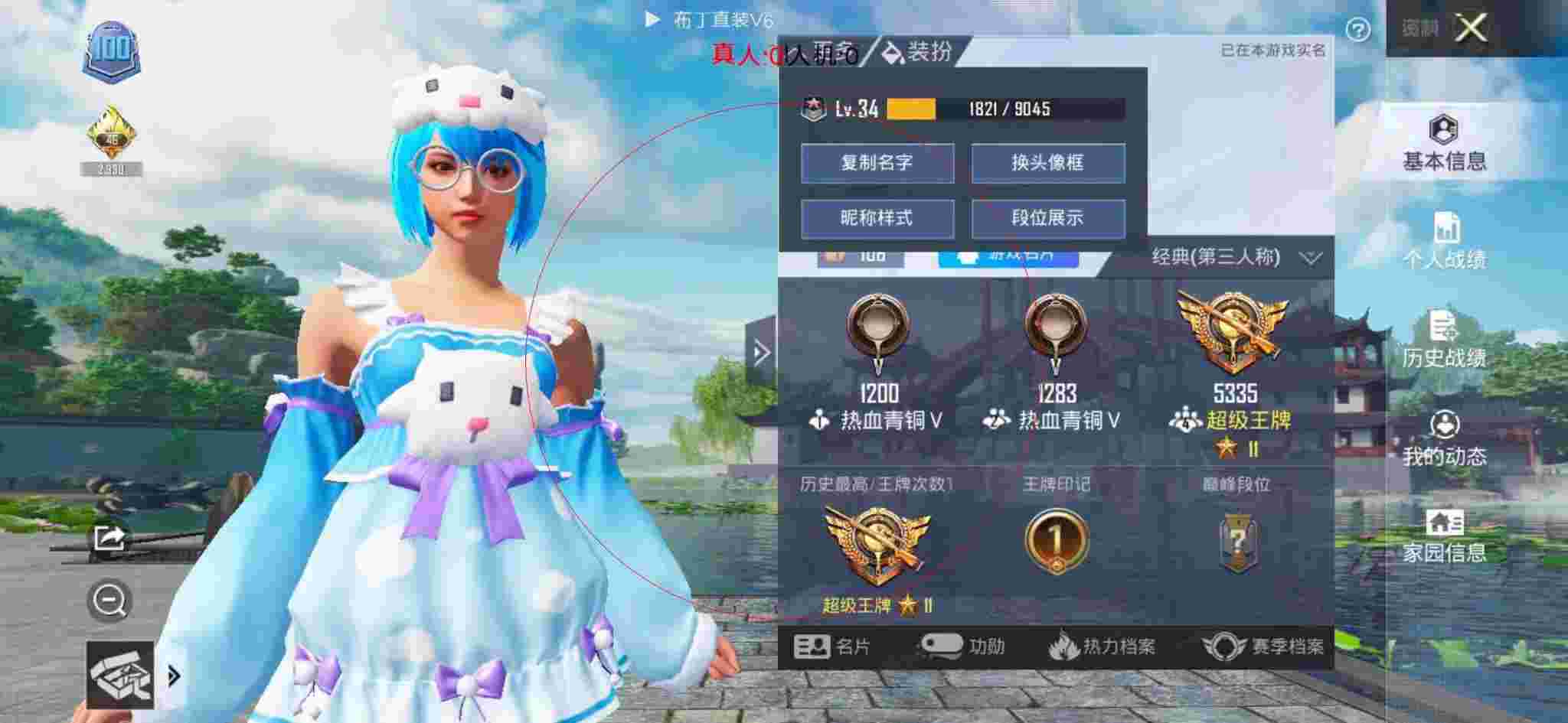 和平精英布丁直装透视 - 和平精英飞机上装外挂辅助预览图
